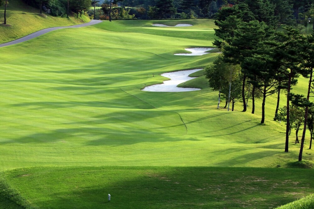 Golf techniques for beginners